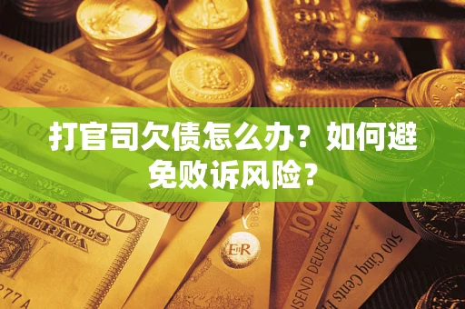 北京打官司欠债怎么办？如何避免败诉风险？