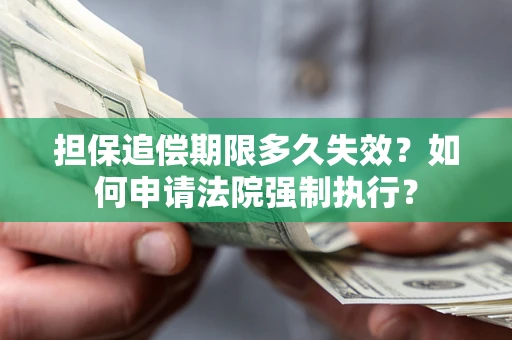 北京担保追偿期限多久失效？如何申请法院强制执行？