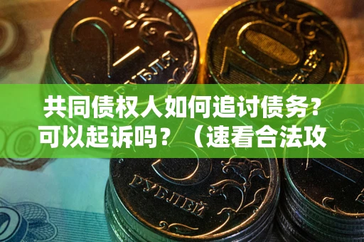 北京共同债权人如何追讨债务？可以起诉吗？（速看合法攻略）