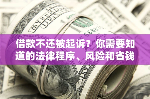 北京借款不还被起诉？你需要知道的法律程序、风险和省钱技巧